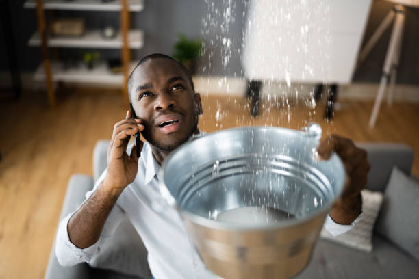 Best Residential water damage restoration  in Hillandale, MD