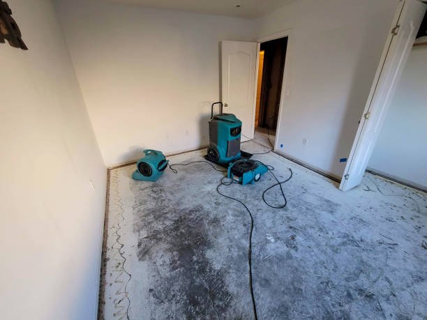 Best Sewage cleanup and water damage restoration  in Hillandale, MD