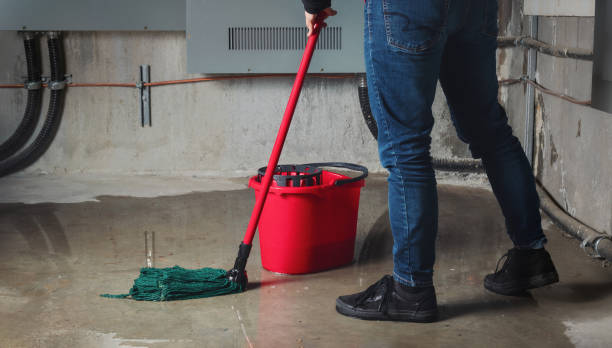Best Emergency water damage restoration  in Hillandale, MD