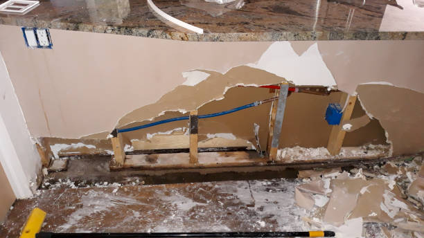 Best Sewage cleanup and water damage restoration  in Hillandale, MD