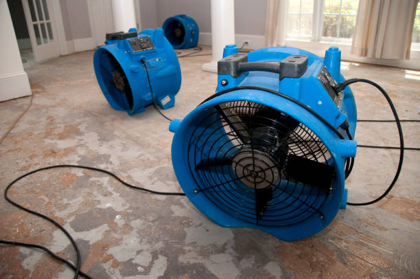 Best Water damage restoration near me  in Hillandale, MD