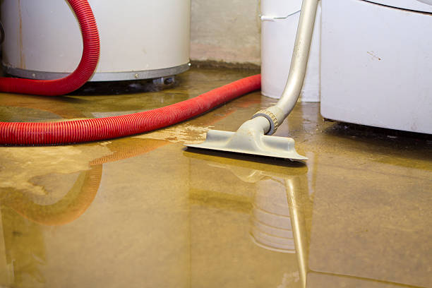 Best Professional water damage repair  in Hillandale, MD