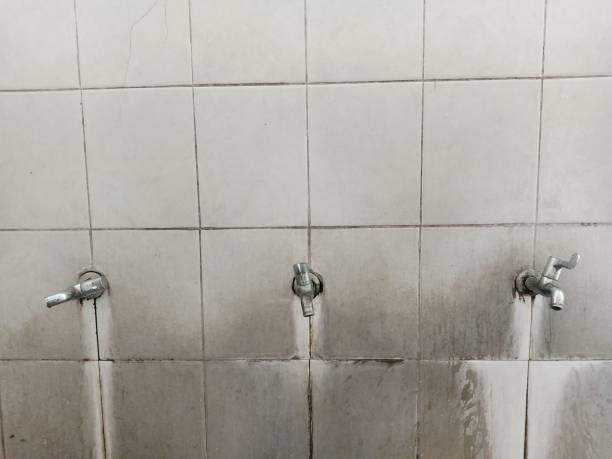 Best Fire Damage Restoration  in Hillandale, MD