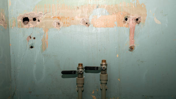 Best Water damage cleanup near me  in Hillandale, MD