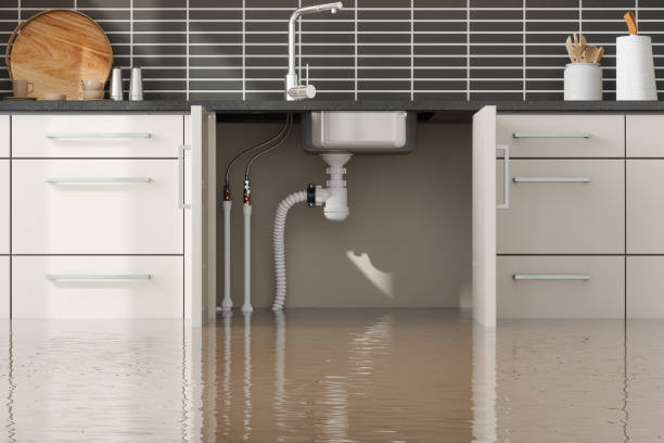 Best Mold removal after water damage  in Hillandale, MD