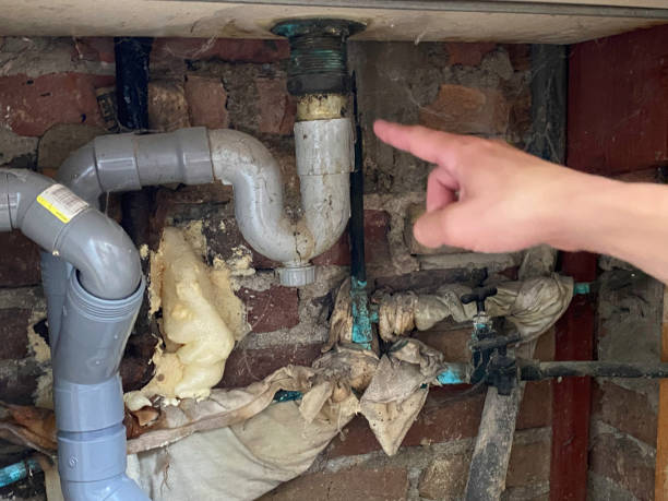 Local water damage restoration in Hillandale, MD
