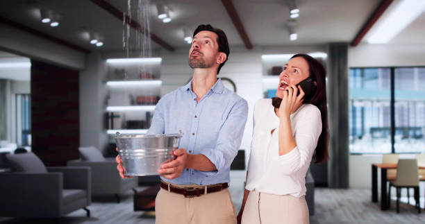 Best Flood restoration services  in Hillandale, MD