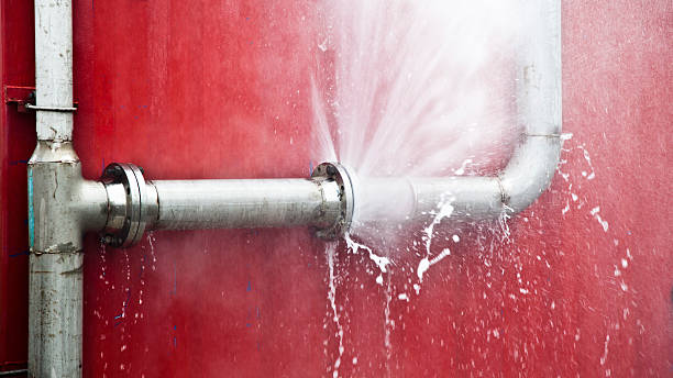Reliable Hillandale, MD Water damage restoration Solutions